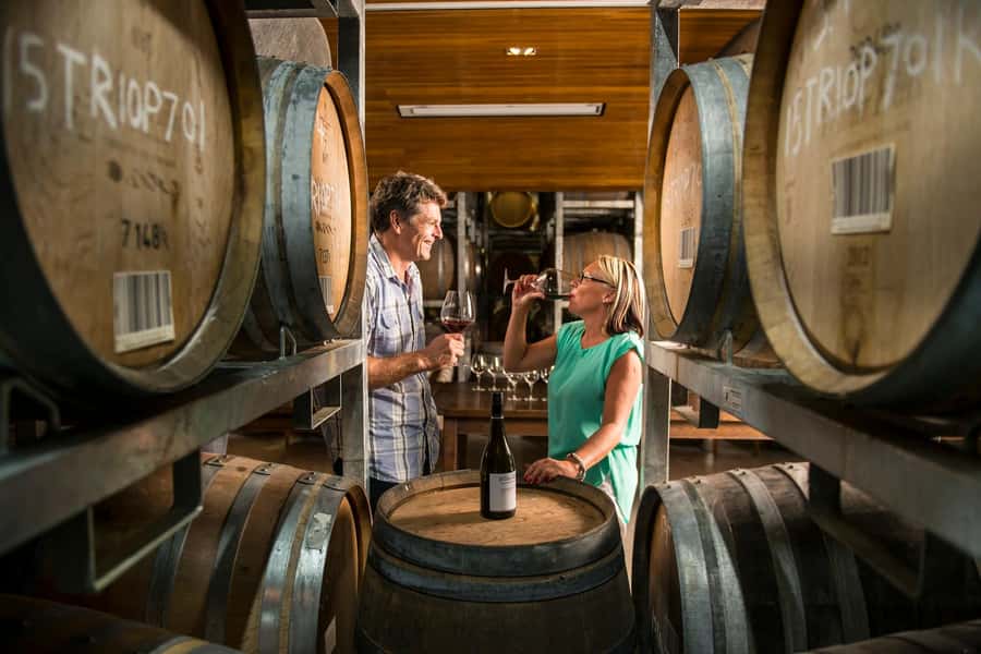 Marlborough: Full-Day Wine and Seafood Tour with Cruise - Mussels and salmon are the food highlights