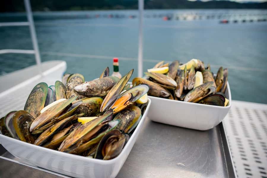 Marlborough: Full-Day Wine and Seafood Tour with Cruise - The morning van ride through Marlborough wine country