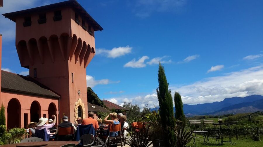 Marlborough Full Day Wine Tour - Who should book this wine tour?