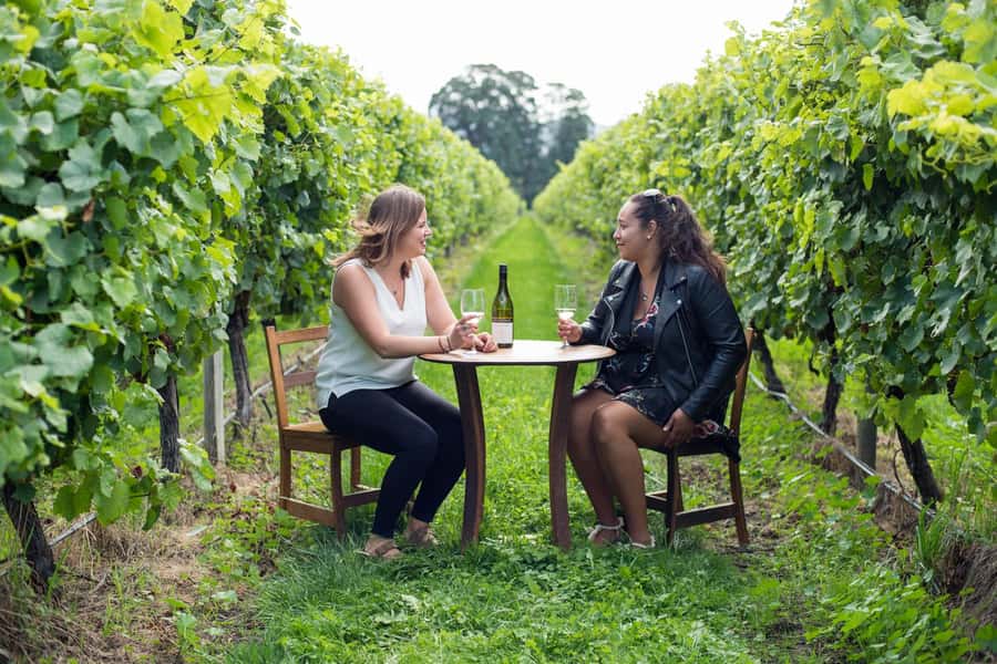 Marlborough Half Day Wine Tour From Blenheim 1.30pm - From pickup to the first vines