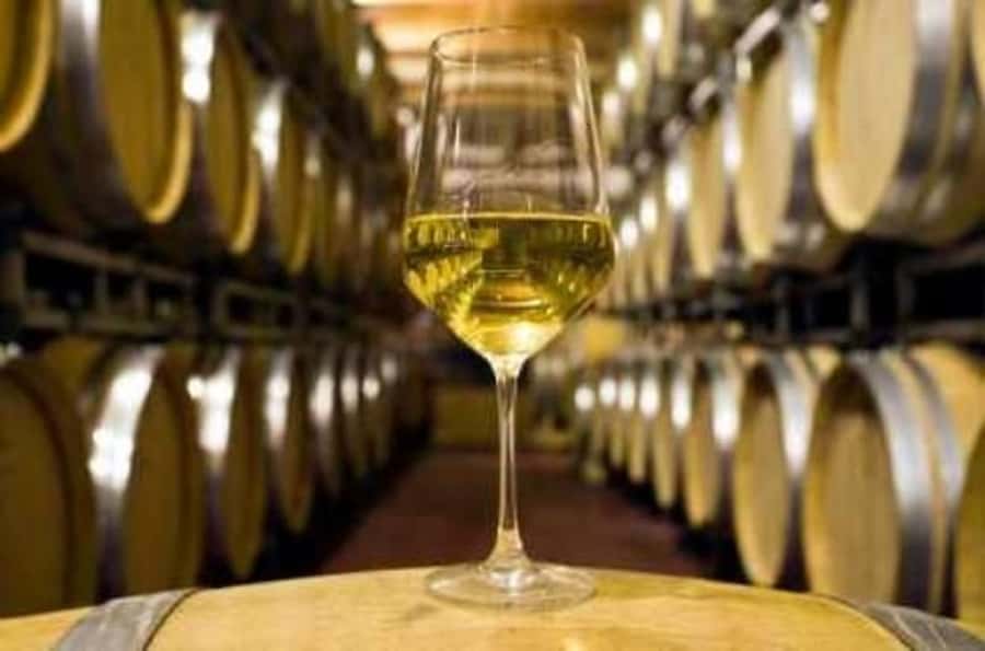 Marlborough Half-Day Wine Tour from Blenheim - Five cellar doors, with room for some variety