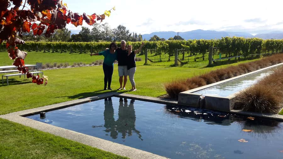Marlborough Half-Day Wine Tour from Blenheim - Learning about the vines, not just drinking the wine