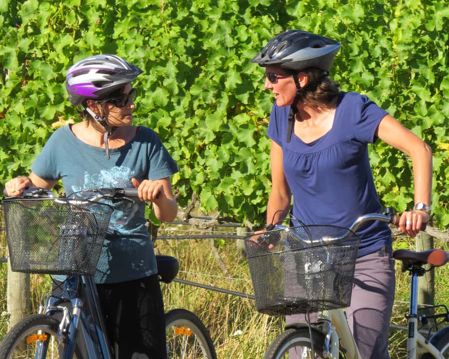 Marlborough: Half Guided and Half Self-Guided Bike Wine Tour - Key points at a glance