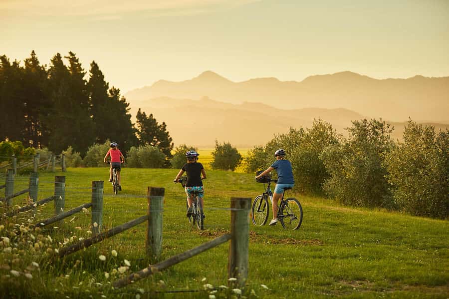 Marlborough: Half Guided and Half Self-Guided Bike Wine Tour - Why this Marlborough tour works so well