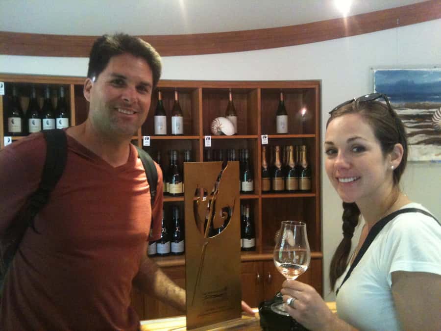 Marlborough: Half Guided and Half Self-Guided Bike Wine Tour - What the morning tastings are worth