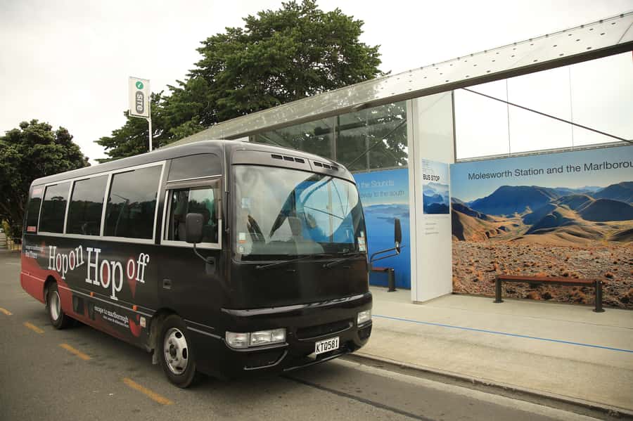 Marlborough: Hop-On Hop-Off Wine, Brewery, and Wonders Tour - Key points to know before you go