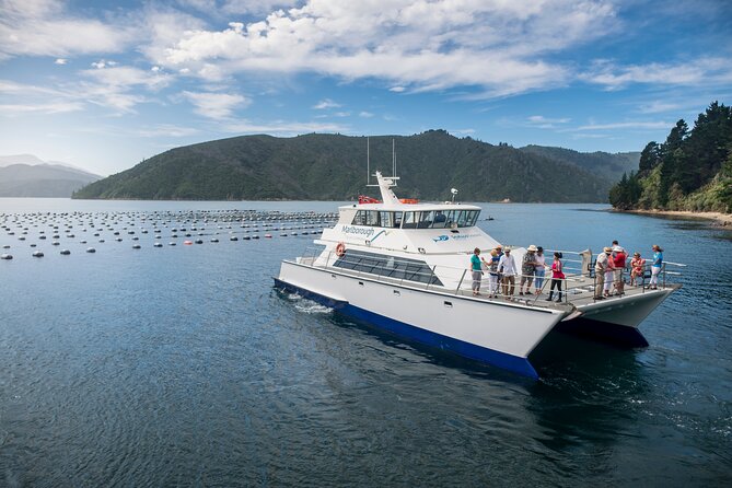 Marlborough Icons Tour - Wine tasting + Cruise - What the guides add to the day