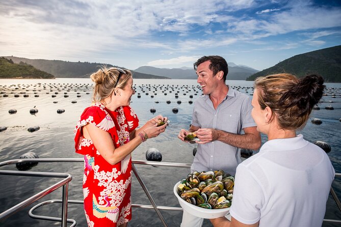 Marlborough Icons Tour - Wine tasting + Cruise - Price, timing, and who gets the best value