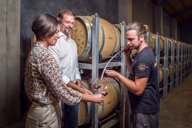 Marlborough Wine Tour - Afternoon of Cuisine & Wine 4hrs - A 12:30 pm start in the Wairau Valley