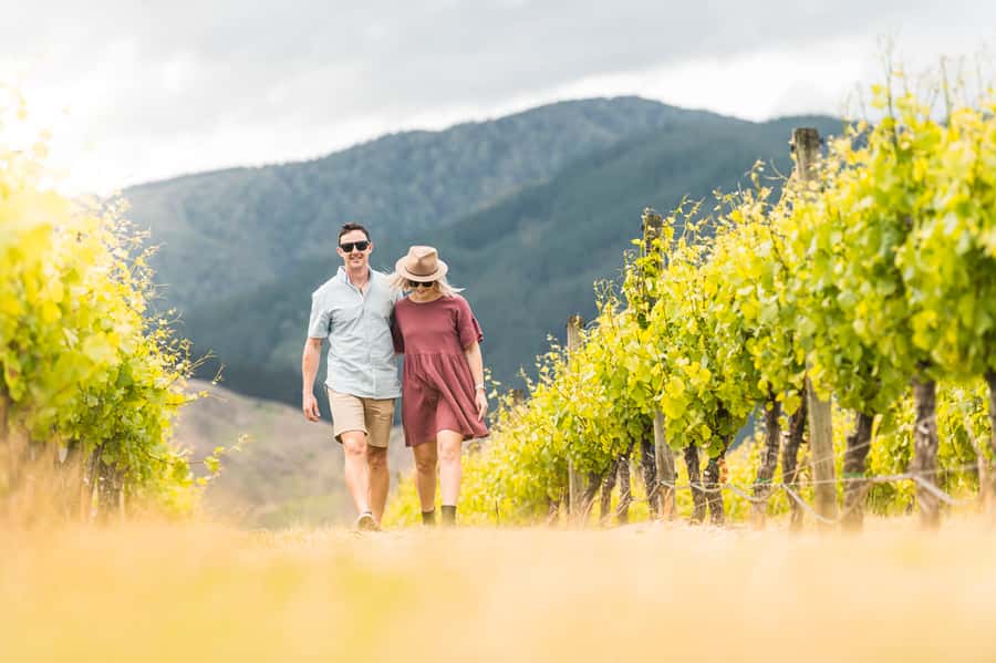 Marlborough: Wineries Visit and Tasting Session - What the guides add to the afternoon