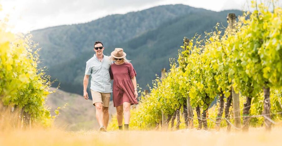 Marlborough: Wineries Visit and Tasting Session - Who will enjoy this wine tour most?