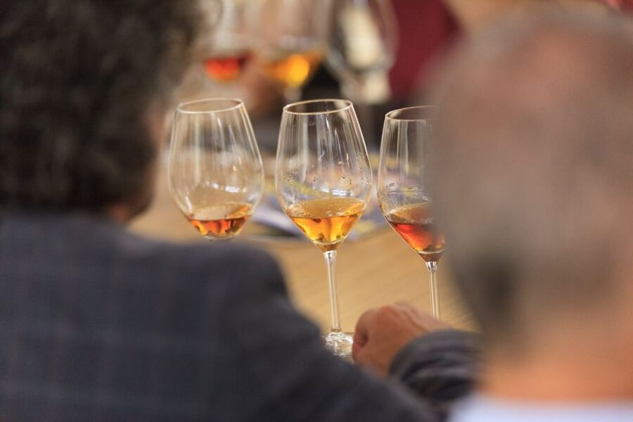 Marsala: Florio Winery Tour with Local Wine Tasting - Three wines and Sicilian snacks