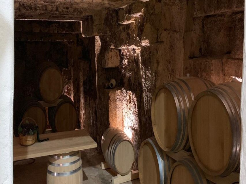 Marsala: Winery Tour with Wine Tasting and Local Products - How much value do you get for $23?