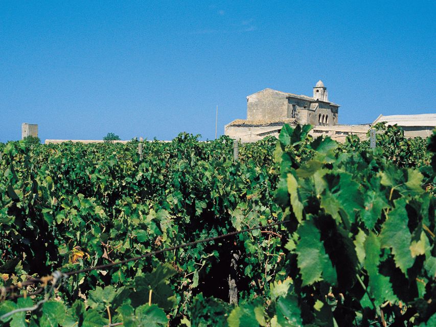 Marsala: Winery Tour with Wine Tasting and Local Products - Tasting Marsala DOC wines at the source