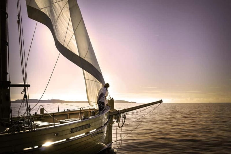 Marseille: Evening sailboat trip to the Calanques du Frioul with buffet and organic wine - A vegetarian dinner from La Casa Consolat