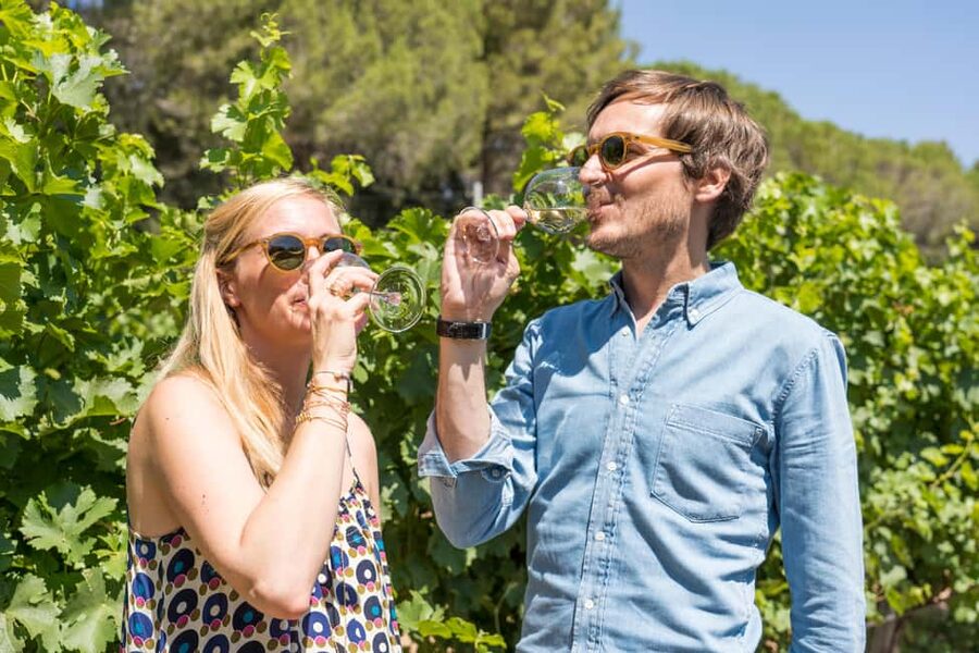 Marseille: Highlights & Wine Tasting Day Tour - Key points to know before booking