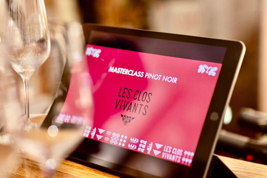 🍷 Masterclass Pinot Noir - Wine tasting in Dijon 🇫🇷 - What to expect from the tasting itself