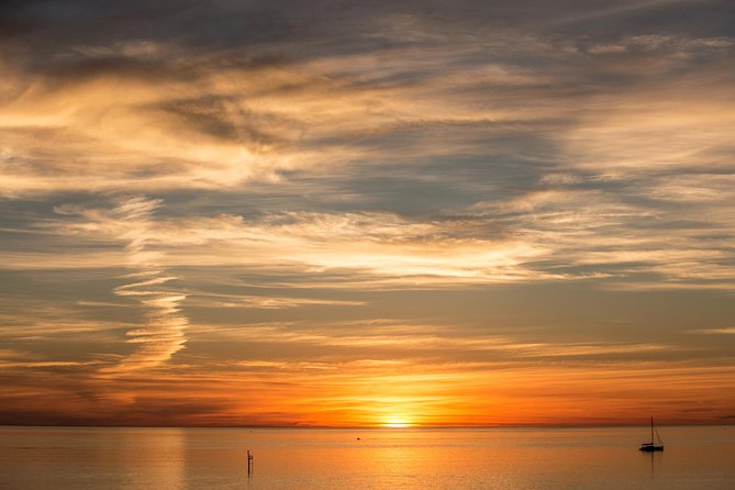 McLaren Vale and Glenelg Wine Tasting and Sightseeing (Half-day Afternoon) - Who should book this McLaren Vale afternoon tour?