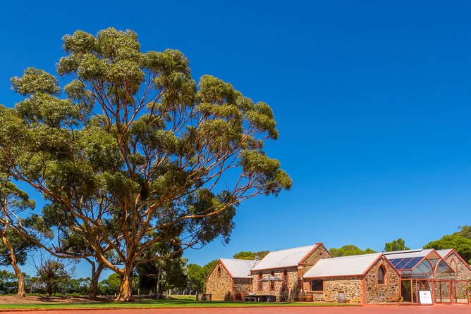 McLaren Vale and Glenelg Wine Tasting and Sightseeing (Half-day Afternoon) - Meeting at Victoria Square at 12:30 pm