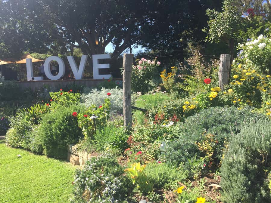 McLaren Vale: Small Group Wine Tour (Includes Lunch) - Afternoon stops can include gin or beer