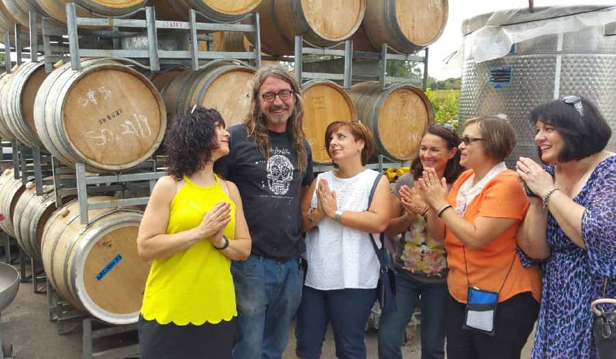 McLaren Vale: Small Group Wine Tour (Includes Lunch) - The guides are the real difference