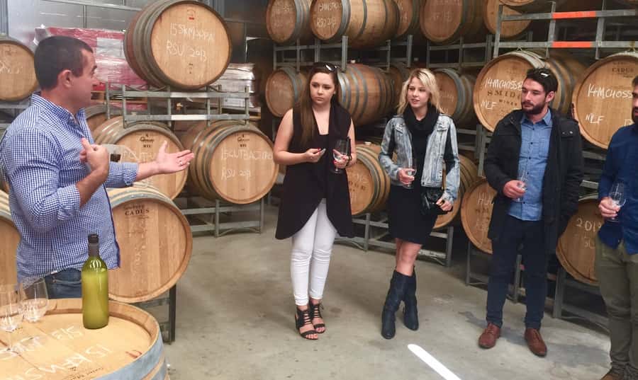McLaren Vale: Small Group Wine Tour (Includes Lunch) - Starting with hotel pickup and a small group