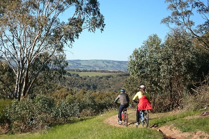 McLaren Vale Wine Tour by Bike - The downhill run toward the vineyards