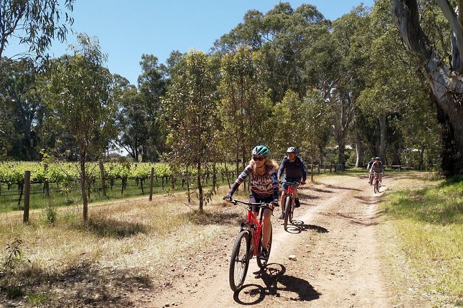 McLaren Vale Wine Tour by Bike - Two wineries and the pleasure of smaller cellar doors