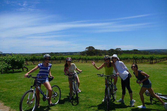 McLaren Vale Wine Tour by Bike - What the $142.73 price includes