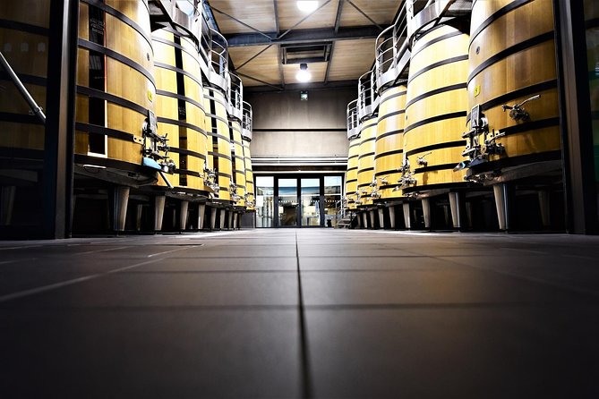Medoc Afternoon Wine Tour - 2 Wineries, tastings & delicacies - Who will enjoy this afternoon most?