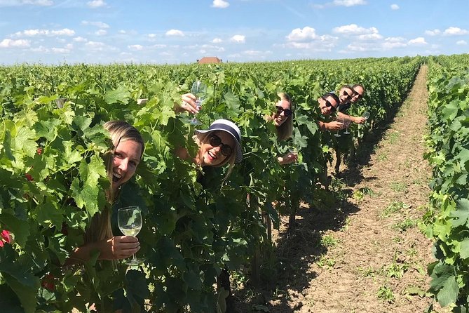 Medoc or Saint Emilion Wine Tasting and Chateau from Bordeaux - Meeting at Place des Quinconces at 2 p.m.