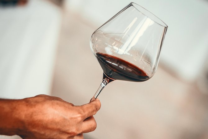 Medoc Region Wine Day Trip with Vineyard Visits & Tastings from Bordeaux - Key points to know before booking