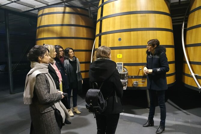Medoc Region Wine Day Trip with Vineyard Visits & Tastings from Bordeaux - Why Médoc makes a good day trip from Bordeaux