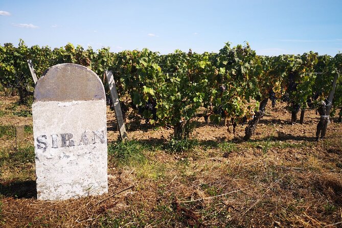 Medoc Region Wine Day Trip with Vineyard Visits & Tastings from Bordeaux - The afternoon tasting in Pauillac or Saint-Estèphe