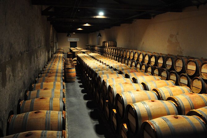 Medoc Region Wine Day Trip with Vineyard Visits & Tastings from Bordeaux - The final château adds a third point of comparison