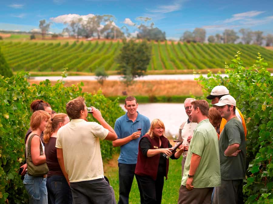 Melbourne: Full-Day Yarra Valley Wine Experience with Lunch - Leaving Melbourne for the Yarra Valley