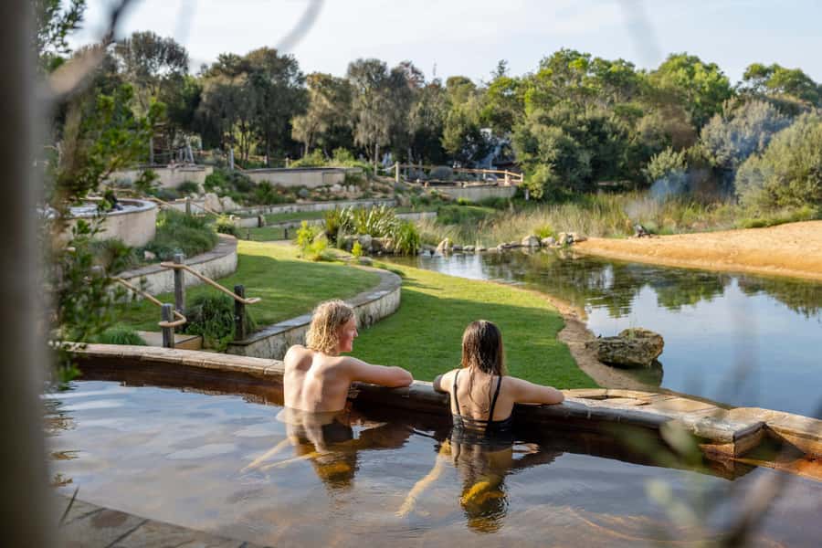 Melbourne: Peninsula Hot Springs with Lunch and Wine - Why this Mornington Peninsula day trip works