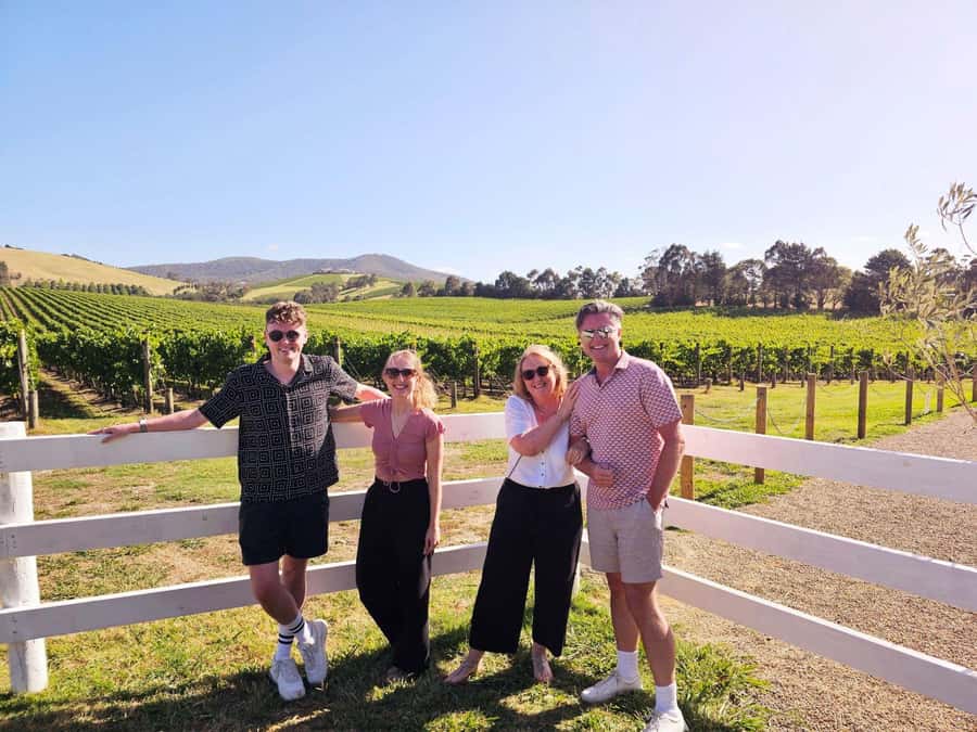 Melbourne: Yarra Valley Half-Day Wine Tour - The pace, the pours, and the practical tradeoffs