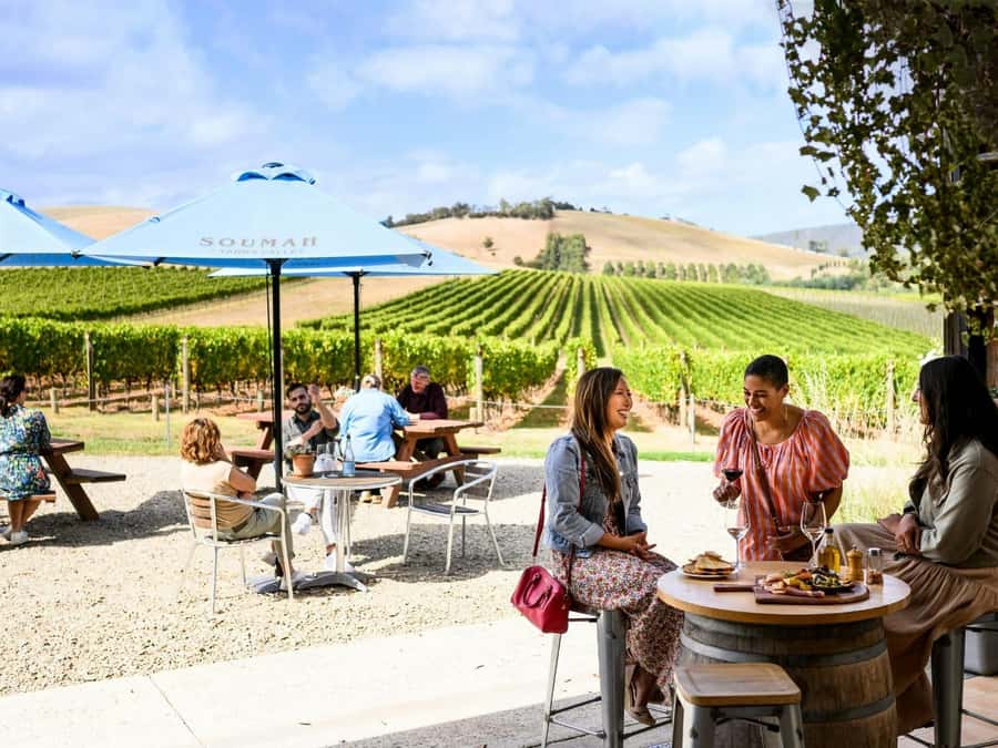 Melbourne: Yarra Valley Half-Day Wine Tour - Helen & Joey Estate: views first, wine close behind