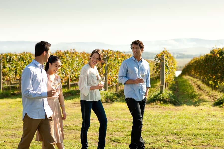 Melbourne: Yarra Valley Wine Bubbles & Kangaroos Tour - Transport, timing, and what the $123 covers