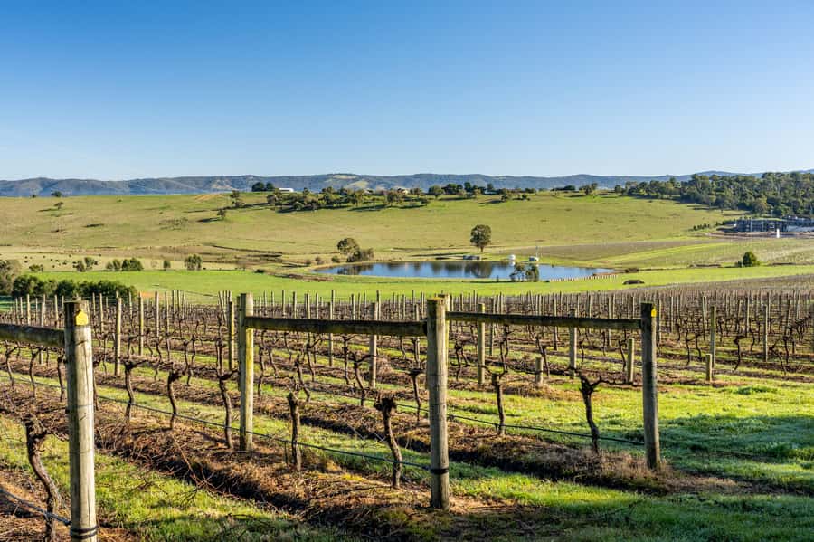 Melbourne: Yarra Valley Wine, Cider, Gin, Beer, & Choc Tour - Yering Farm, the first taste of wine and cider