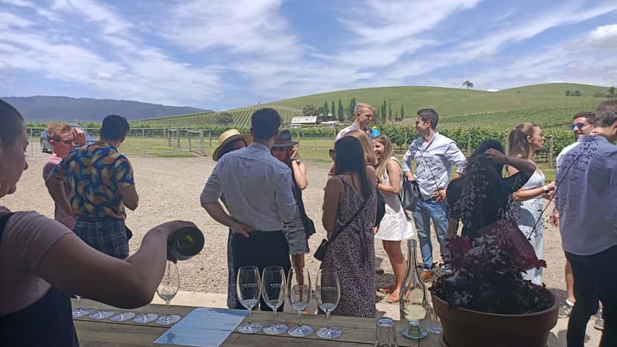 Melbourne: Yarra Valley Wine, Gin, Whisky and Chocolate Tour - The ride home is part of the social experience