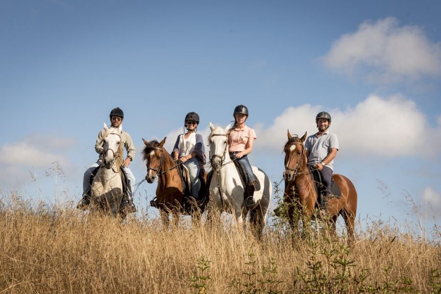 Melides: Horse Riding on the Beach with Wine Tasting - The beach section and its open-air appeal