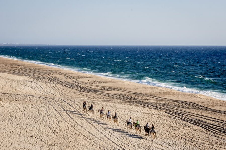 Melides: Horse Riding on the Beach with Wine Tasting - The wine tasting: attractive idea, unclear delivery