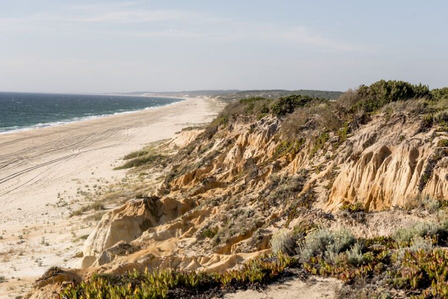 Melides: Horse Riding on the Beach with Wine Tasting - Choosing the barbecue lunch instead