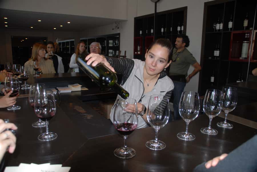 Mendoza: Full Day Wine Tour with 3 Course Lunch - The main service risk to consider