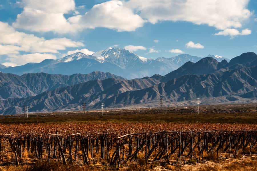 Mendoza: Full Day Wine Tour with 3 Course Lunch - Why Mendoza wine country feels different