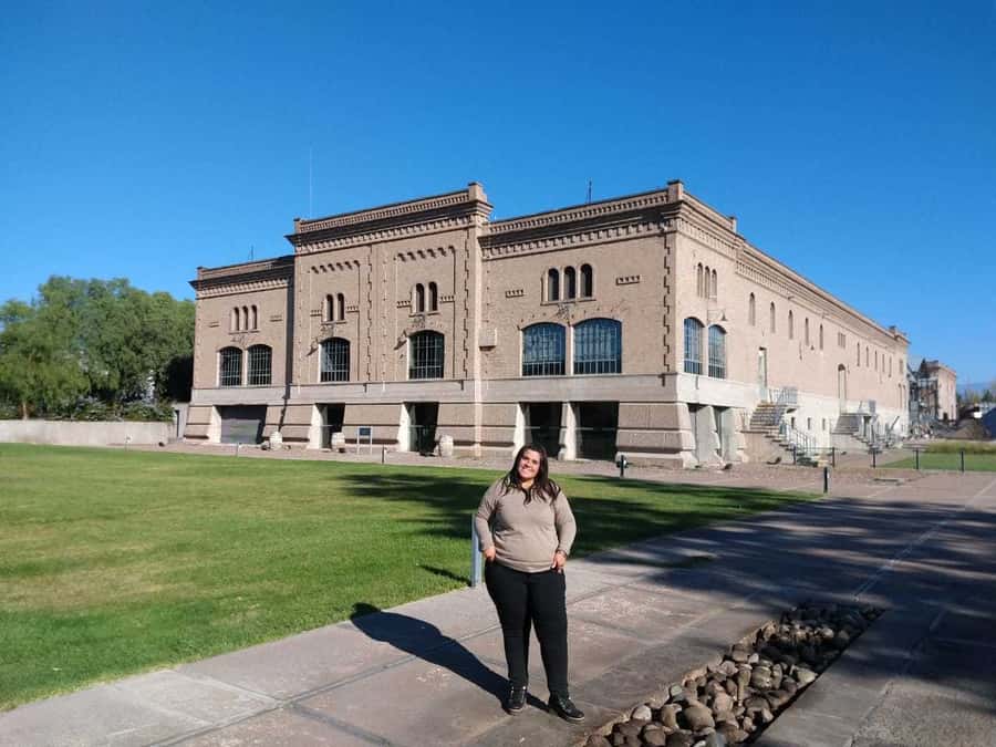 Mendoza: Full Day Wine Tour with 3 Course Lunch - The morning pickup and ride into the vineyards