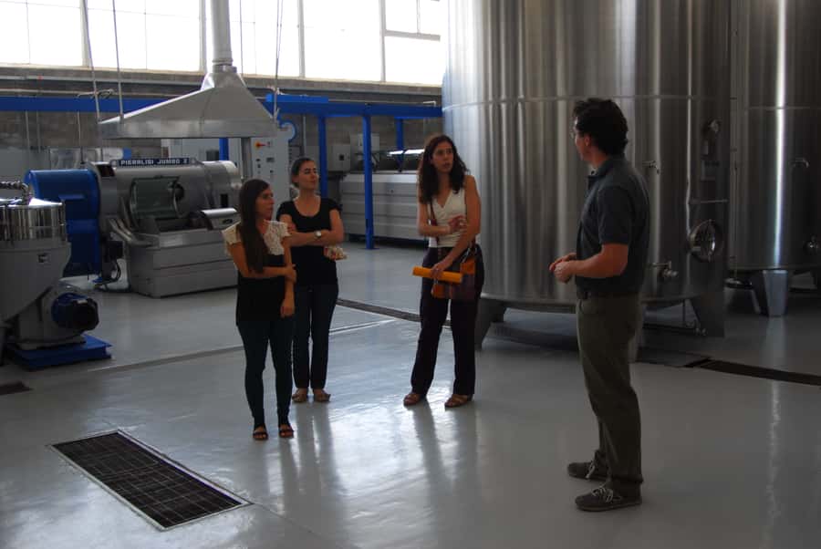Mendoza: Full Day Wine Tour with 3 Course Lunch - Tasting wine with useful context