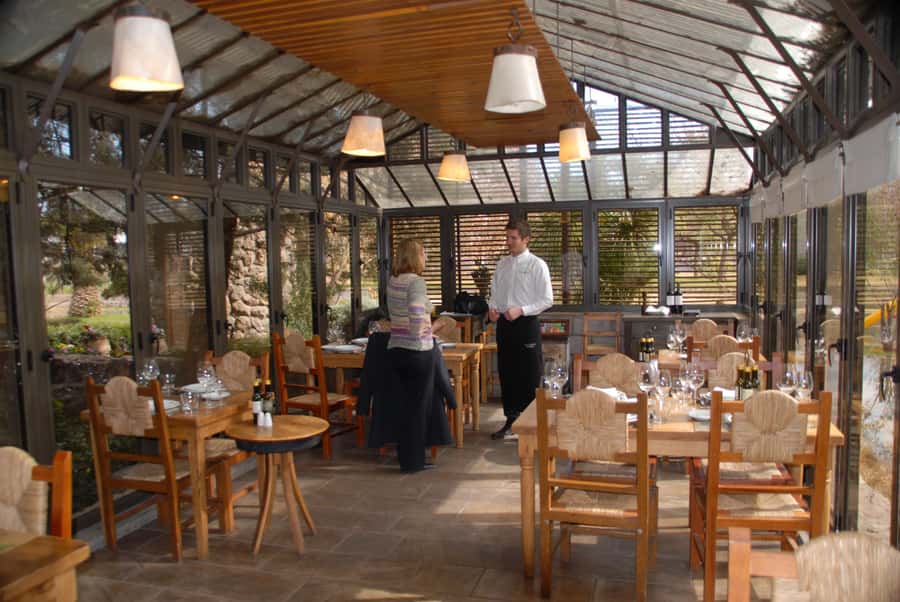 Mendoza: Full Day Wine Tour with 3 Course Lunch - What the strongest experiences have in common